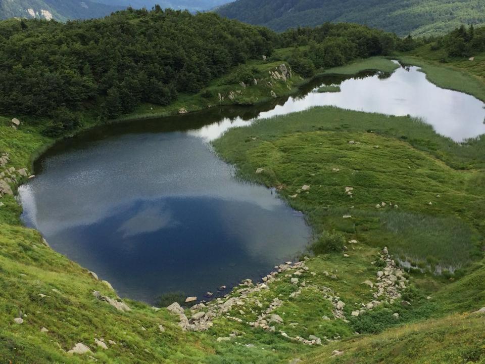 Val Di Luce - Delizioso Appartamento 6 Posti Letto - Accesso Diretto Alle Piste Da Sci Abetone Eksteriør billede