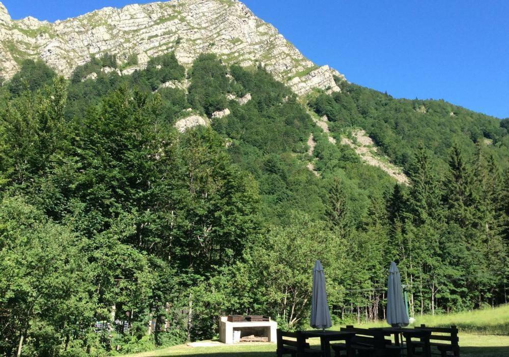 Val Di Luce - Delizioso Appartamento 6 Posti Letto - Accesso Diretto Alle Piste Da Sci Abetone Eksteriør billede